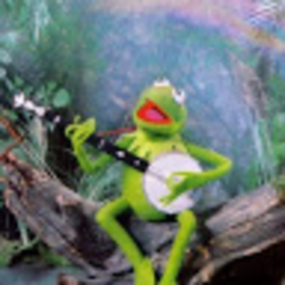 Meet your Posher, Ava - Picture 1 of 1